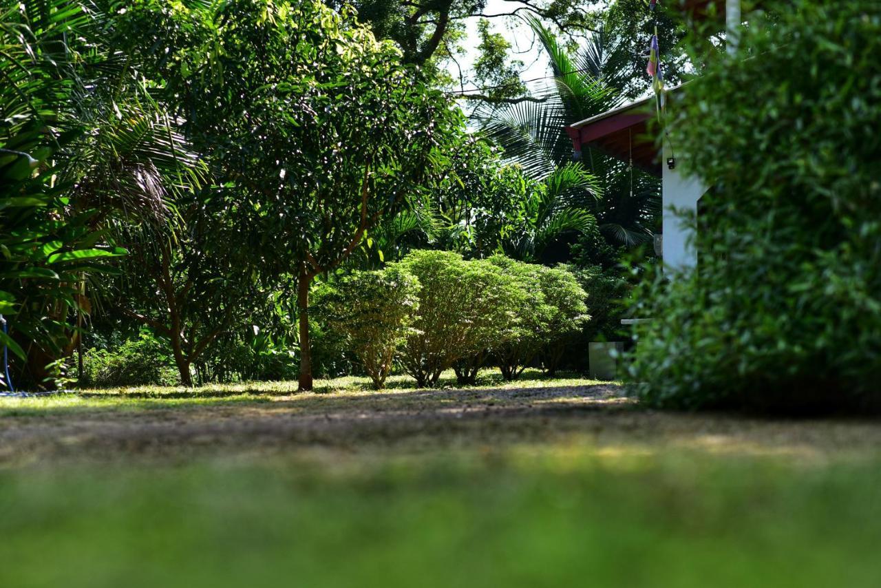 Hotel Tamarind Blue Tangalle Zewnętrze zdjęcie