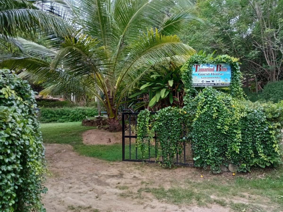 Hotel Tamarind Blue Tangalle Zewnętrze zdjęcie
