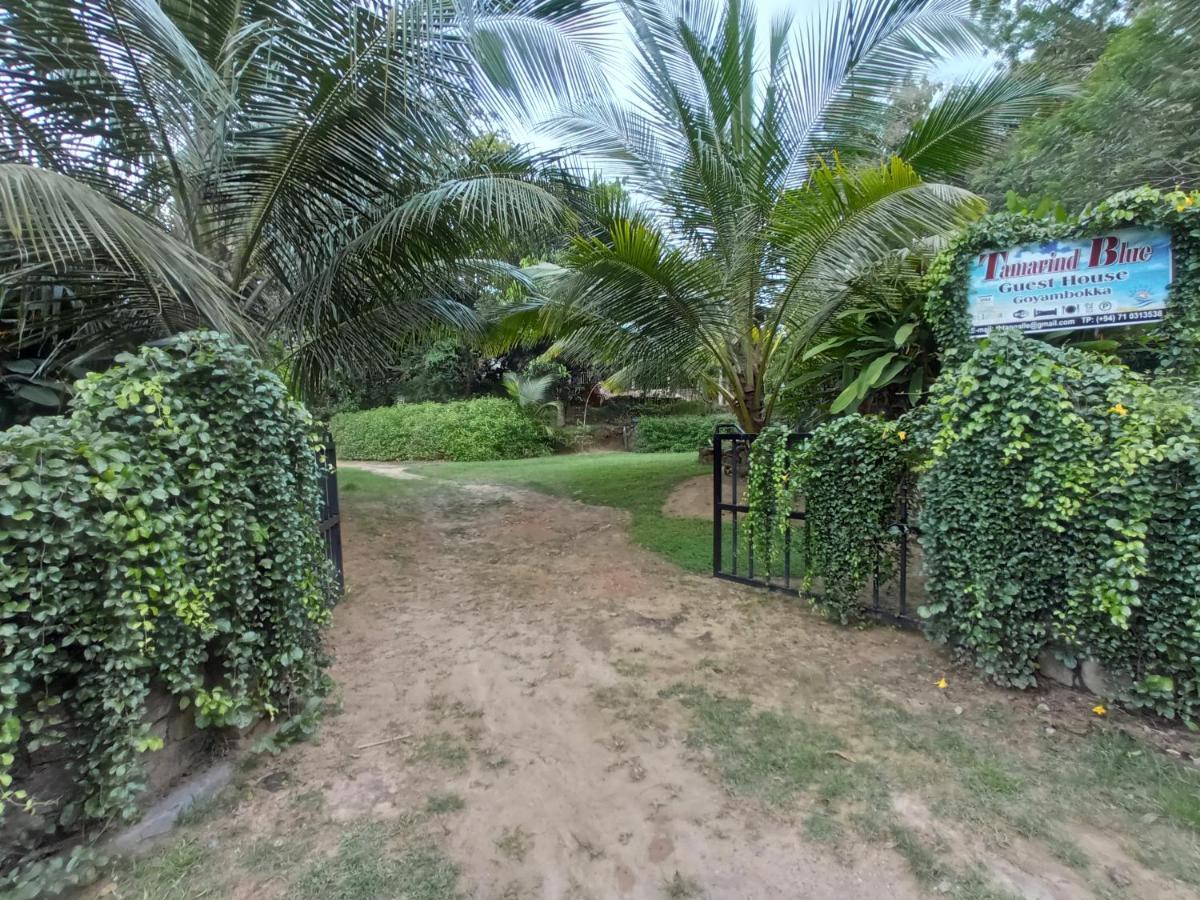 Hotel Tamarind Blue Tangalle Zewnętrze zdjęcie